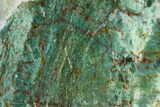 Polished Fuchsite Chert (Dragon Stone) Section - Australia #160340-1